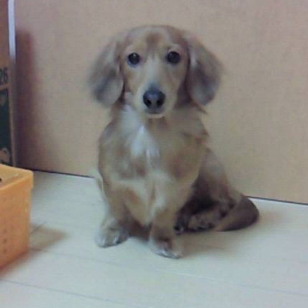 べ〜ちゃん