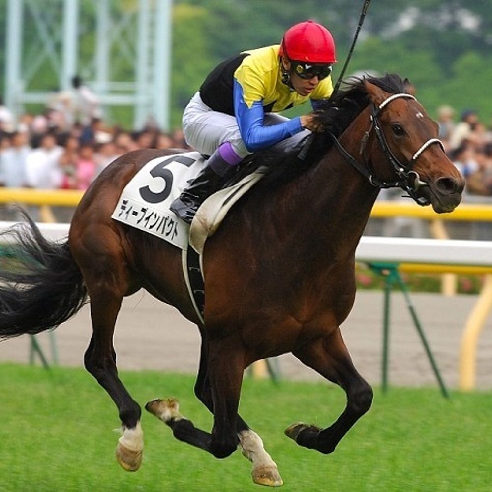 🏇細川 元気🐴(競馬グループ管理人🐴メンバー募集中)