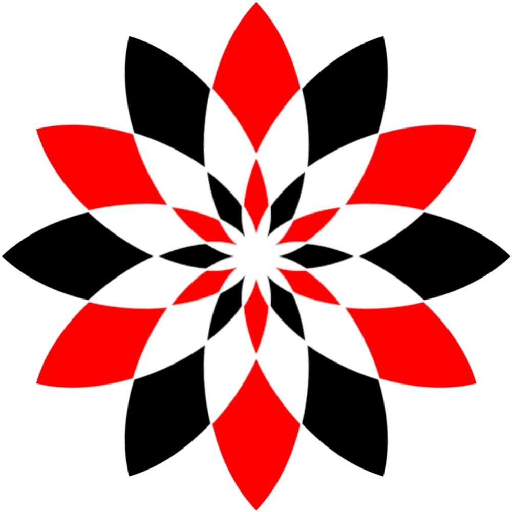 手羽先