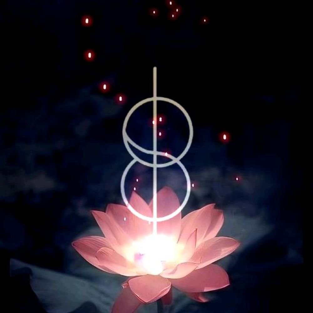 nymphaea 🪷