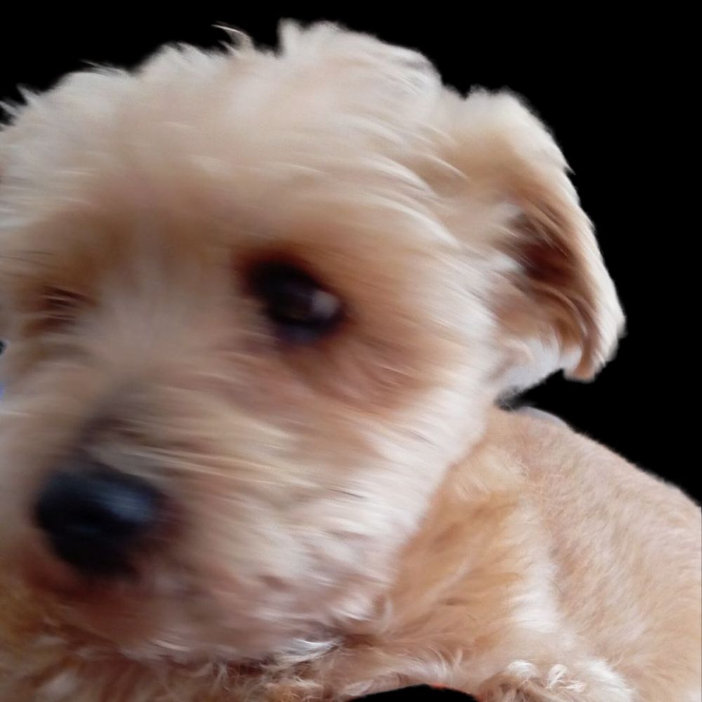 antōnōu
