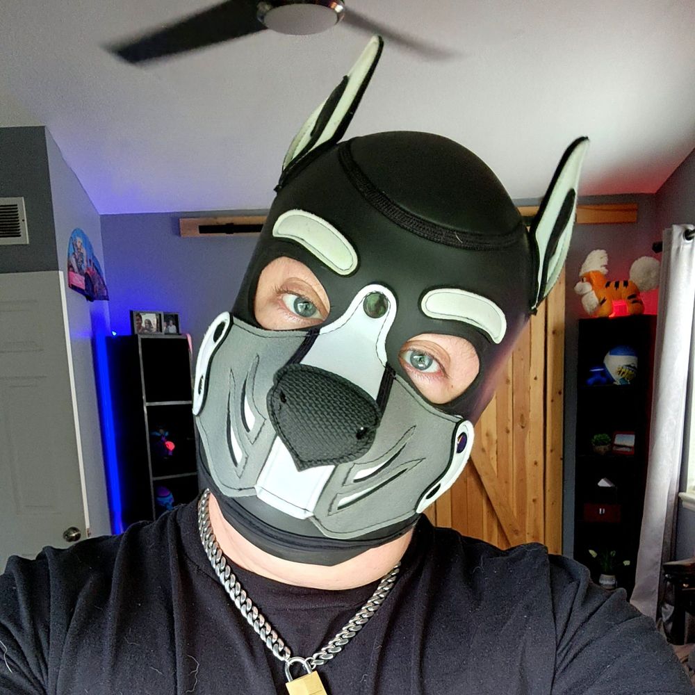 Pup Dommie / Domino