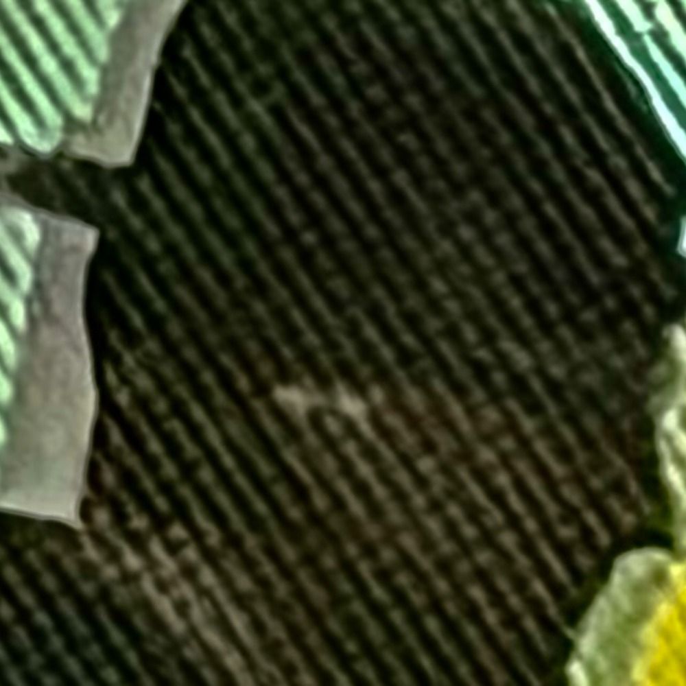 Seth R. Wright