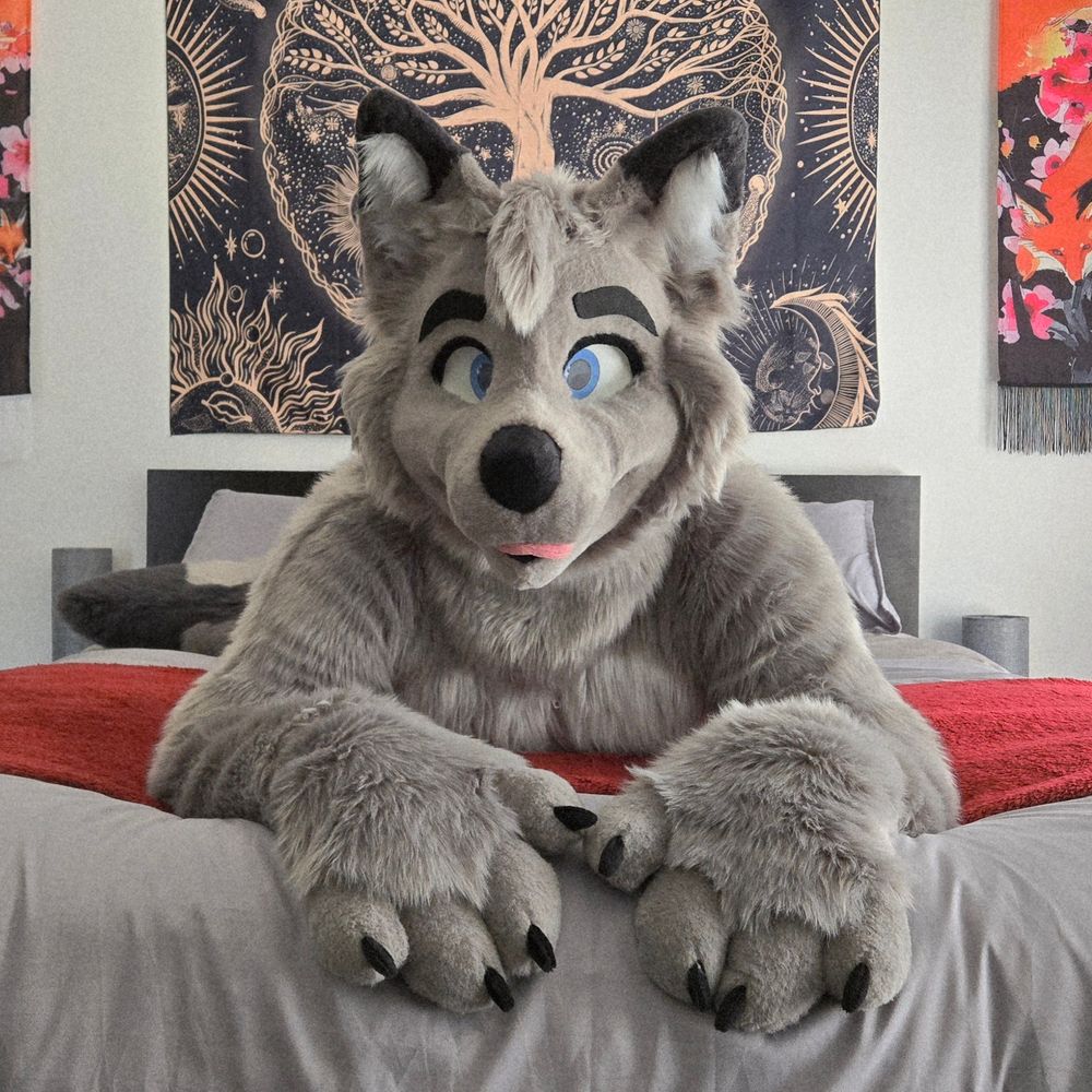 The Boxxiest of Foxes