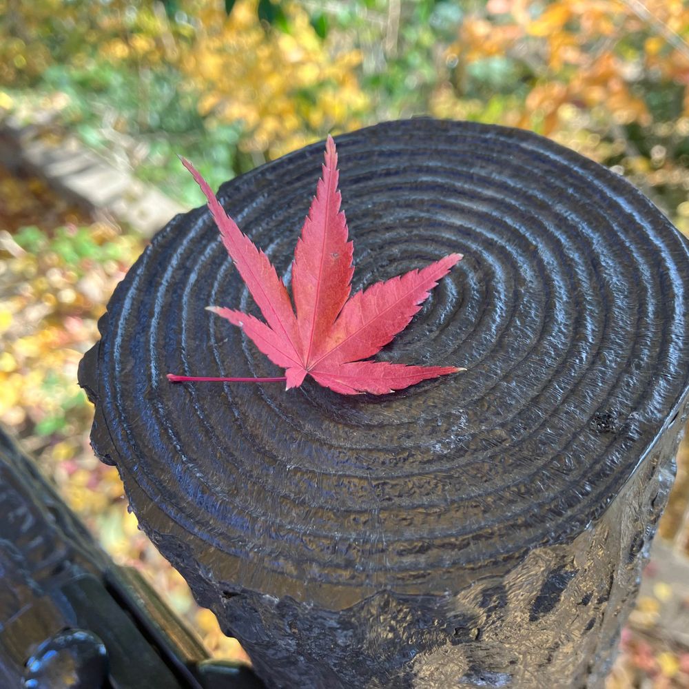 Niwase