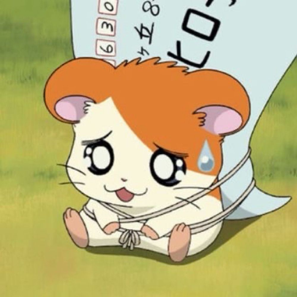 감자