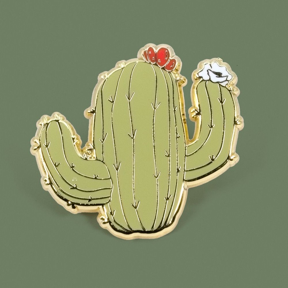 Cacti Oasis
