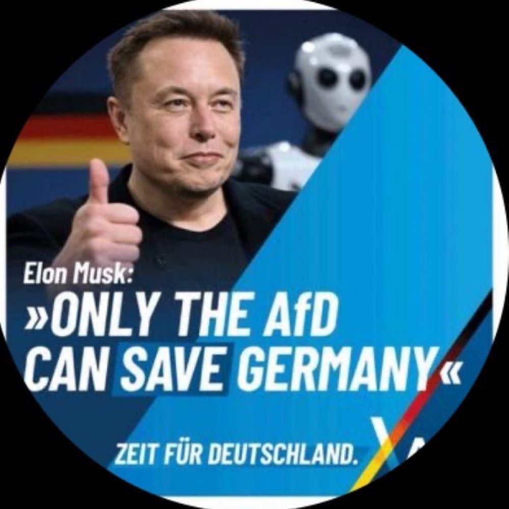 Not Elon.(Management Team)