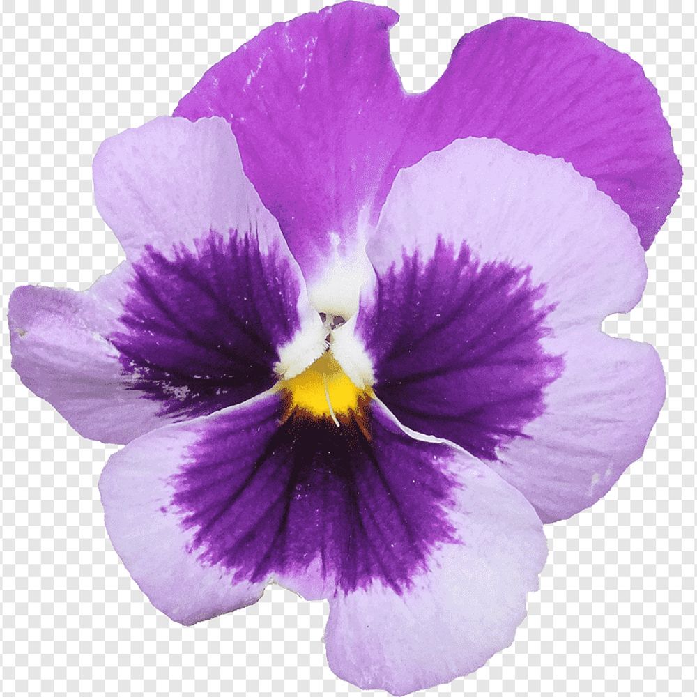 a.