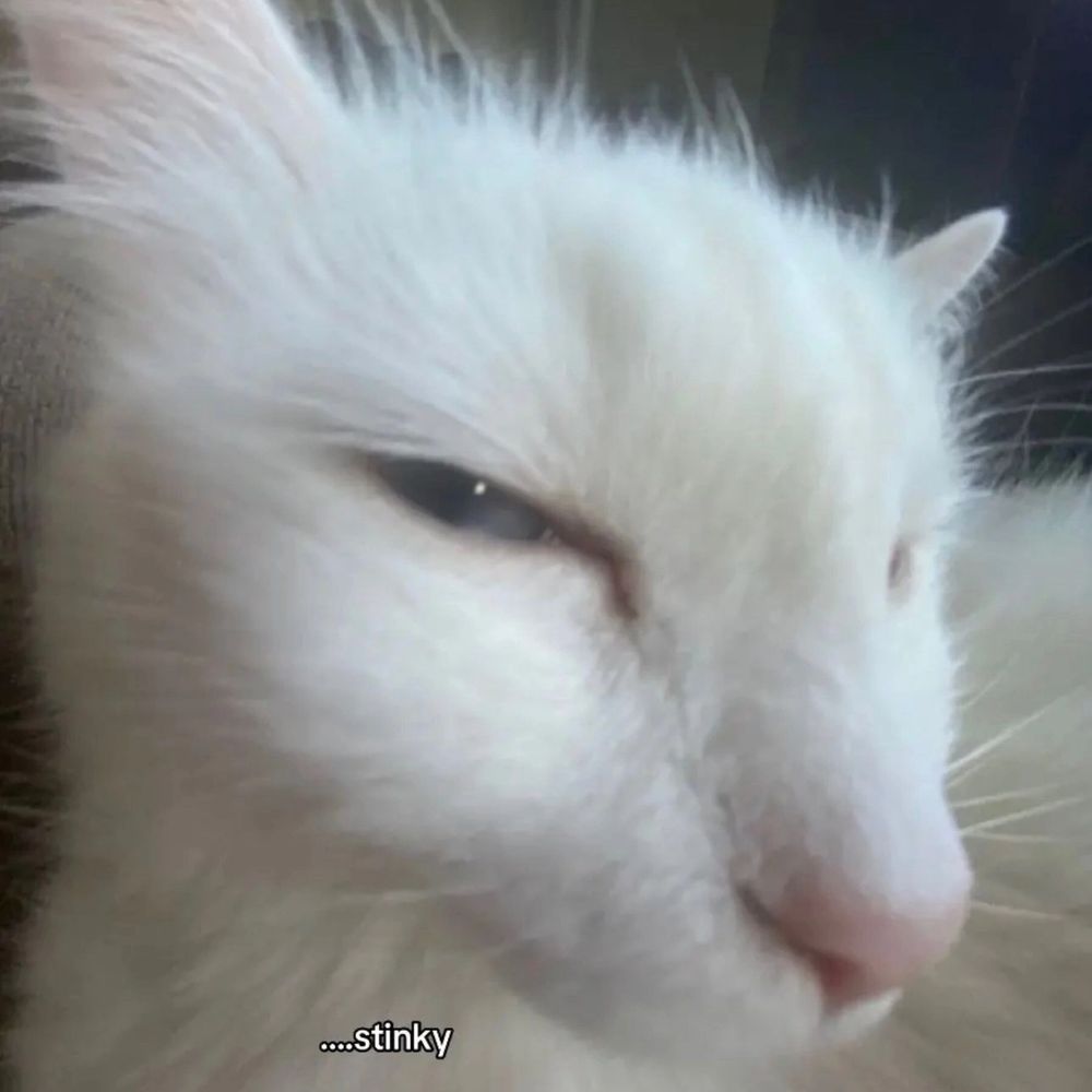 Junimoe