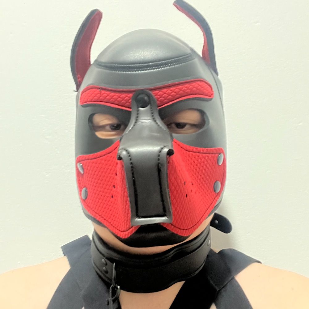 Puppycub J🇸🇬