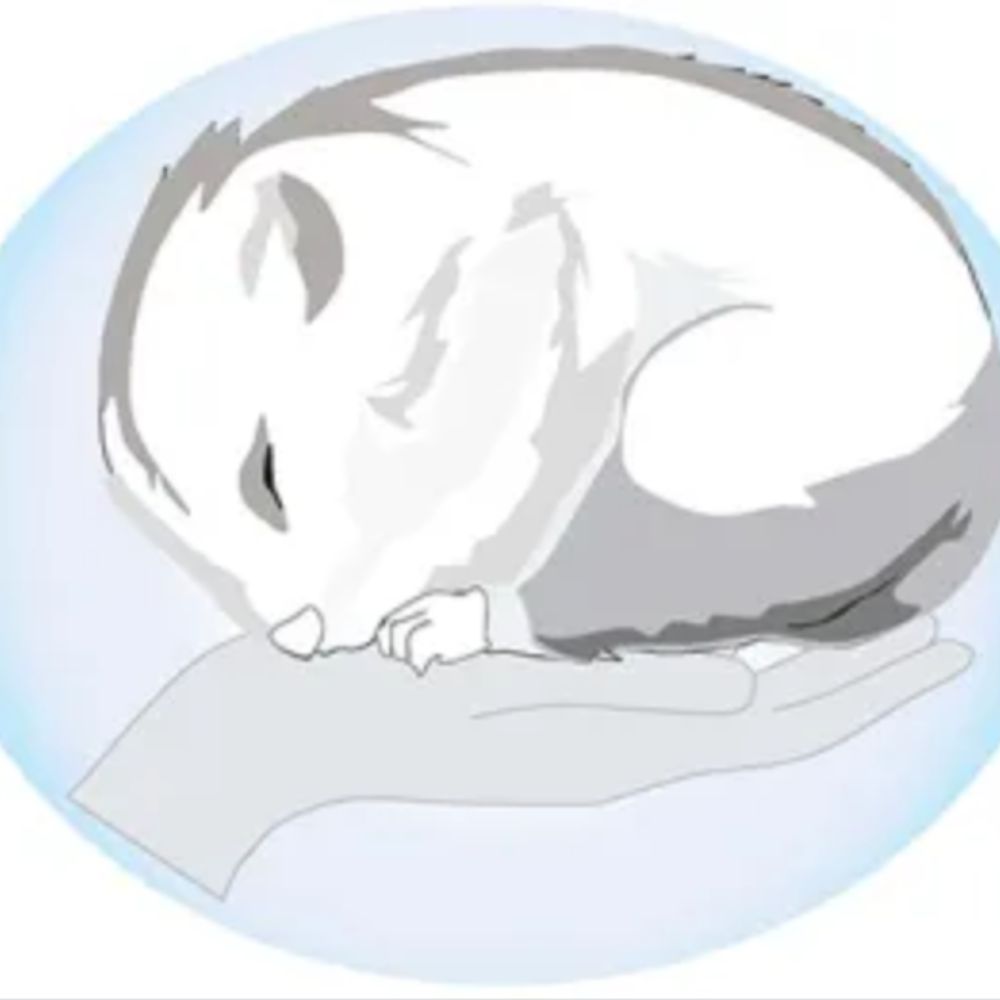 International Hibernation Society