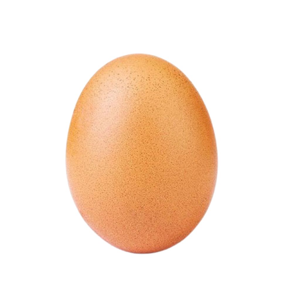 TheMagicalEgg