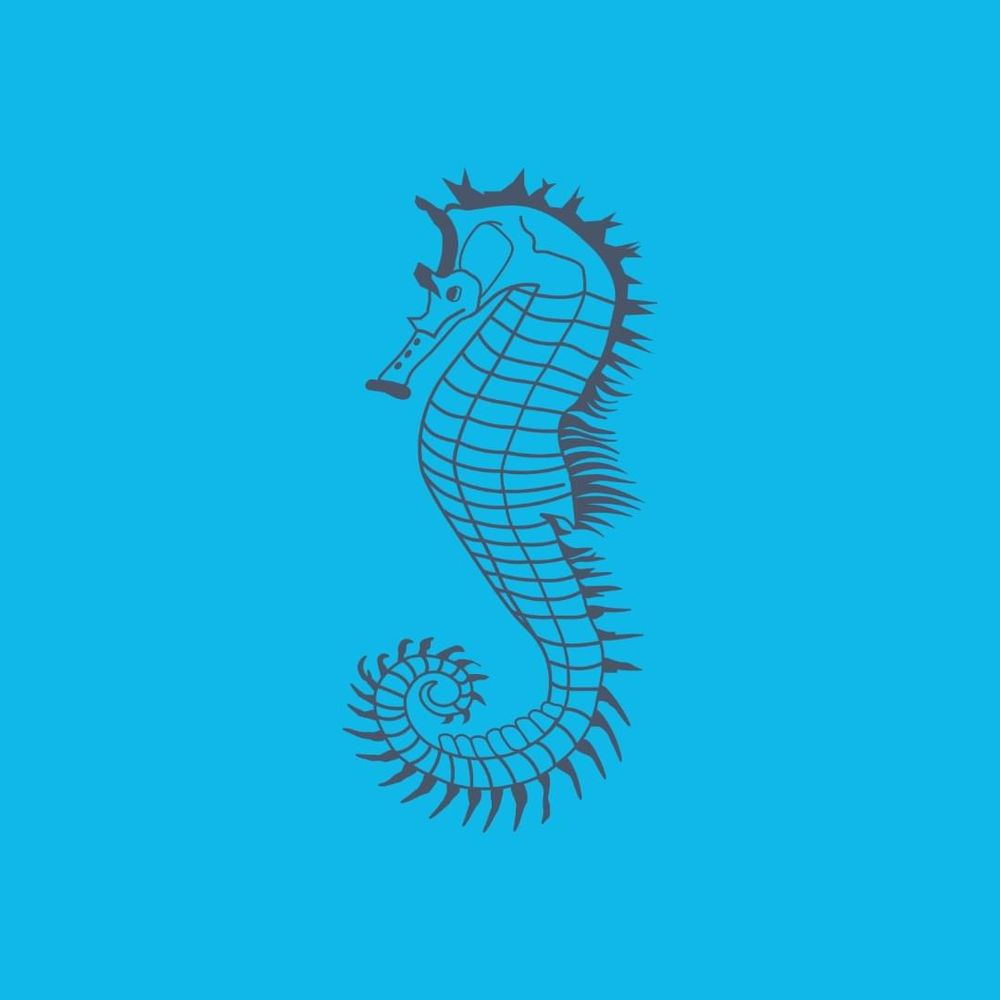 Saltywave