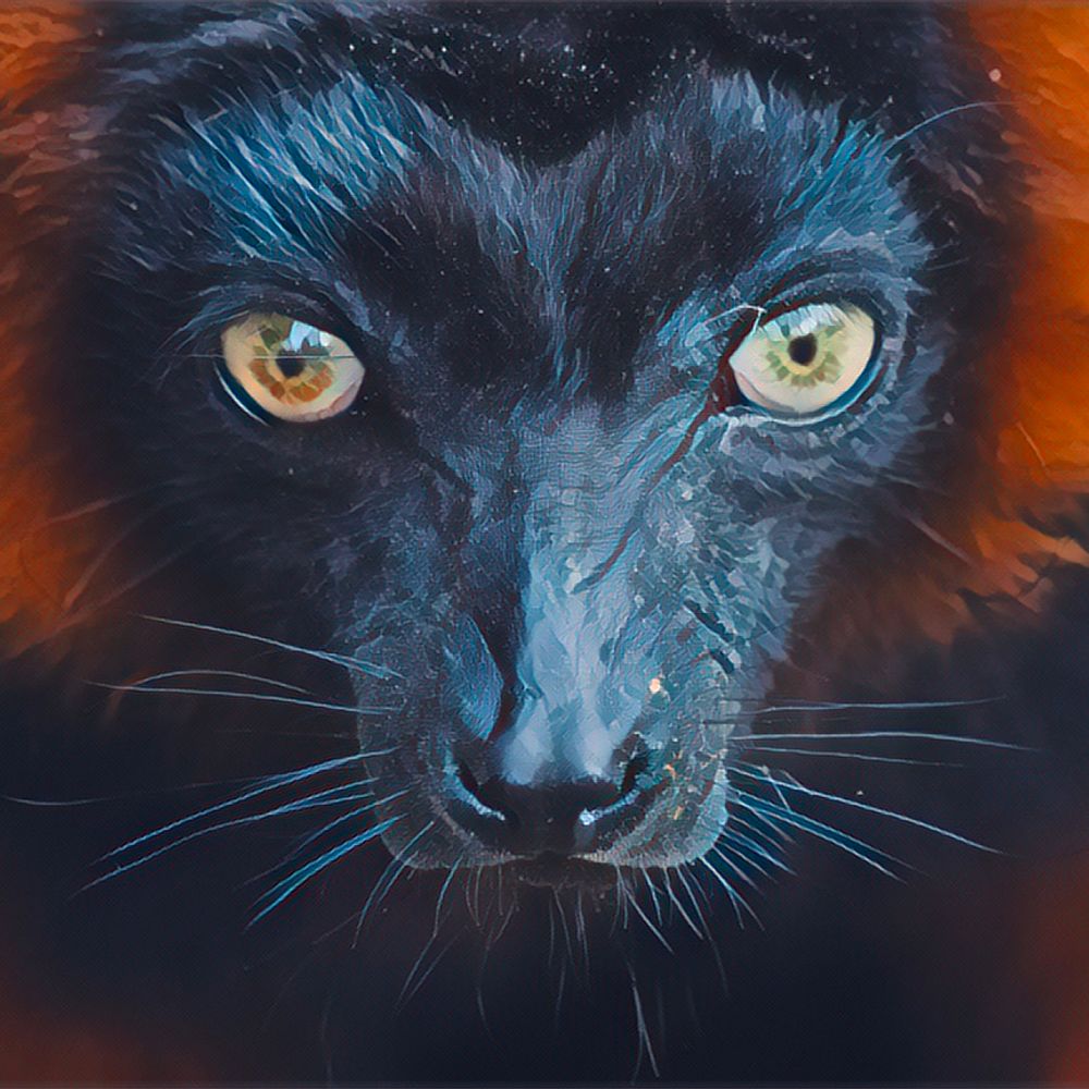 Rusty Lemur