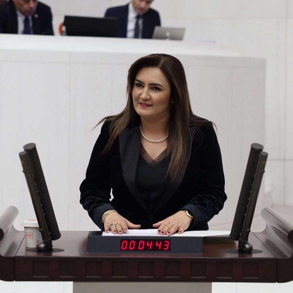 Av. Sevda Erdan Kılıç