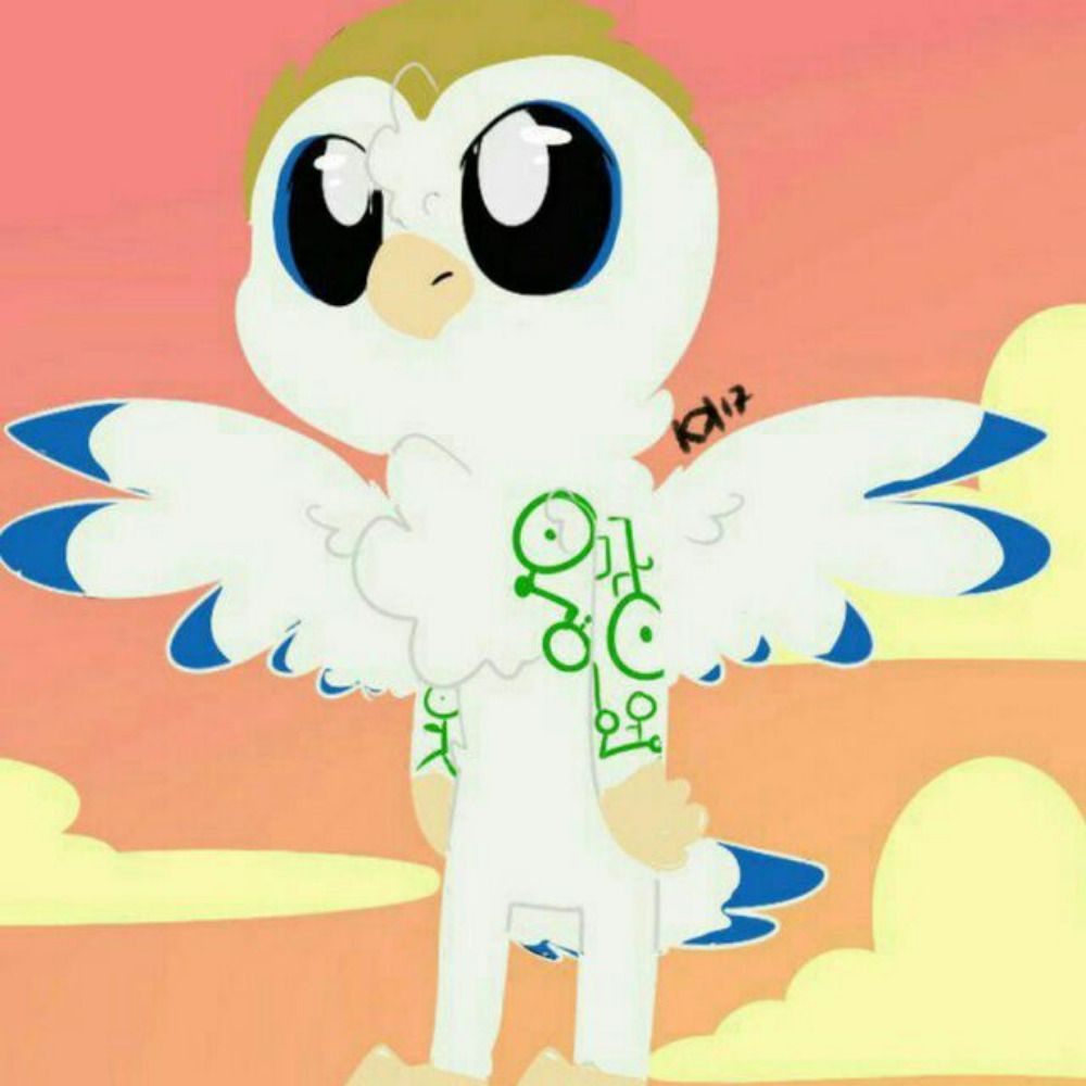 Owl