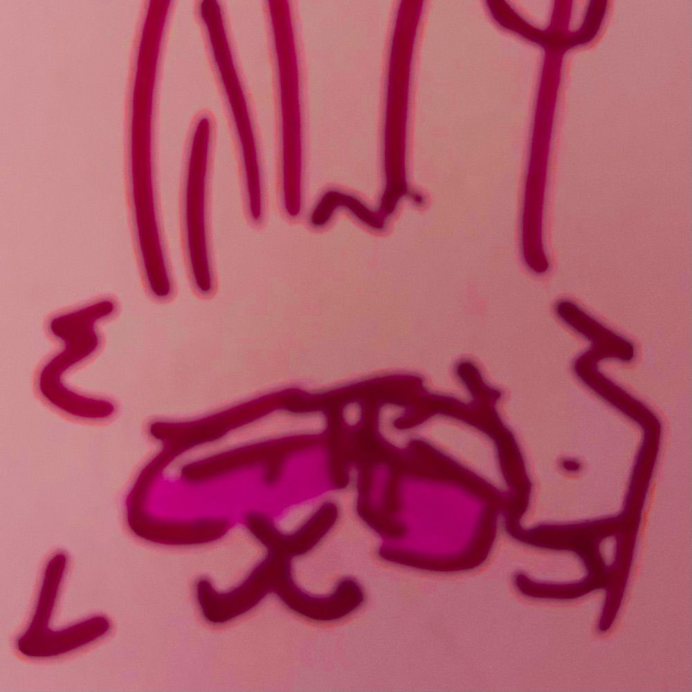 toonhed