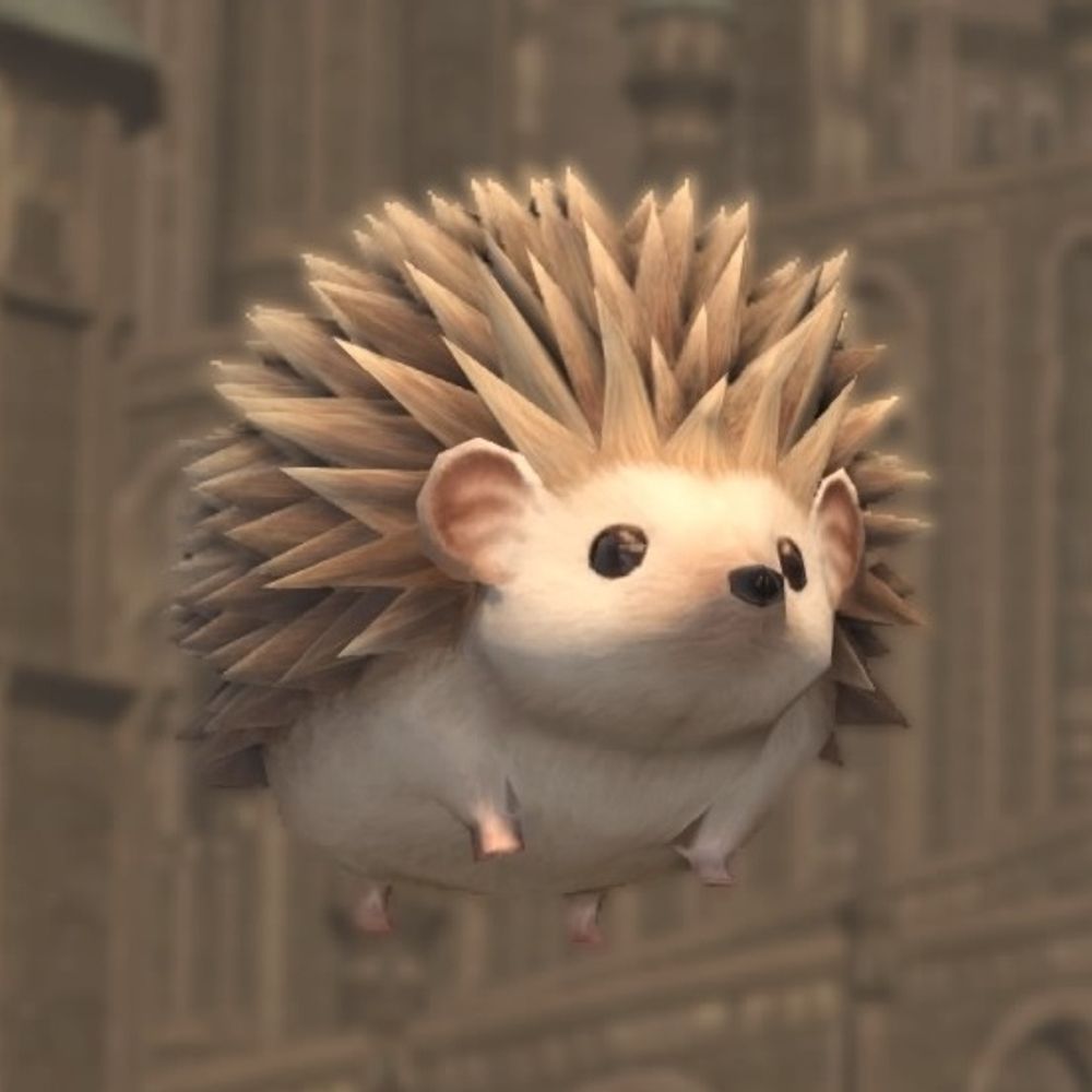 しましま