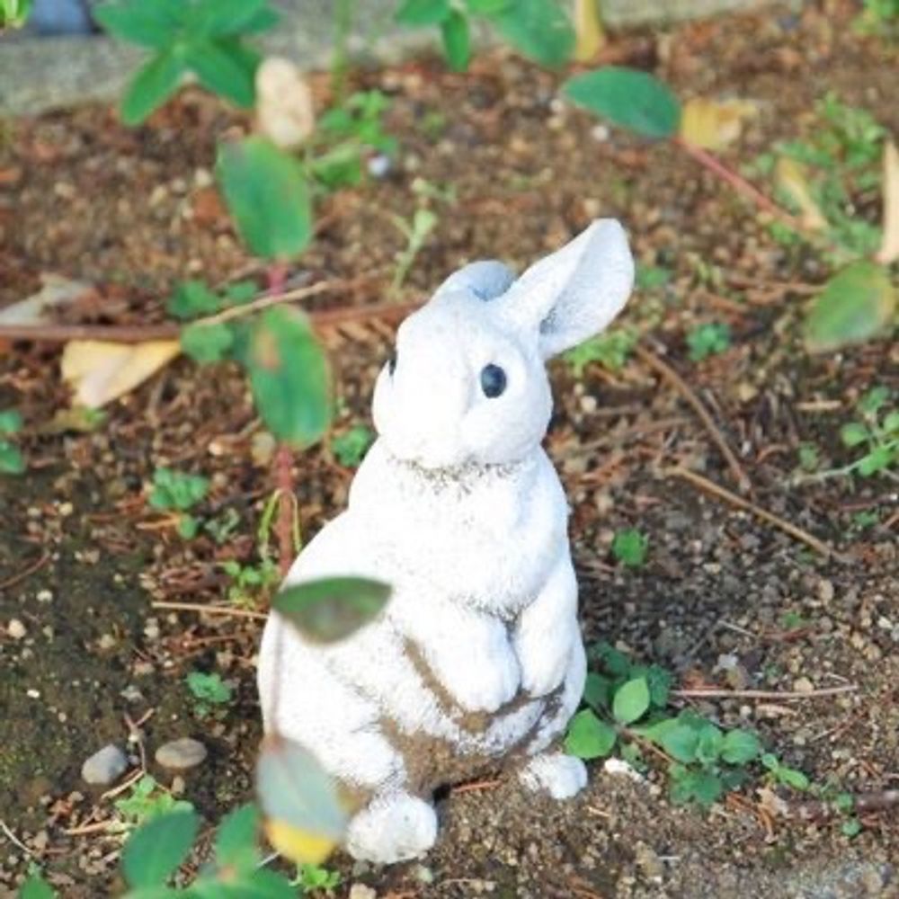 ひでゆき
