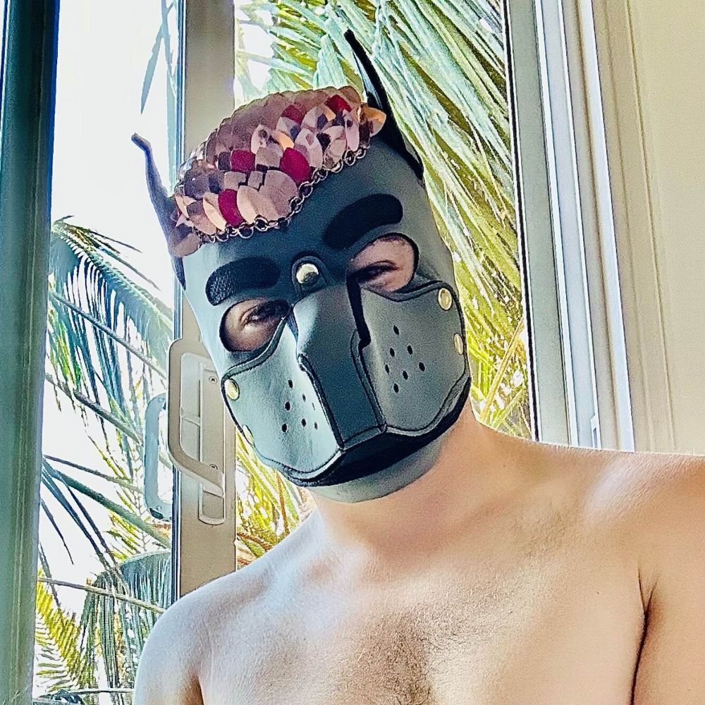 Chaotic GoodBoi™️