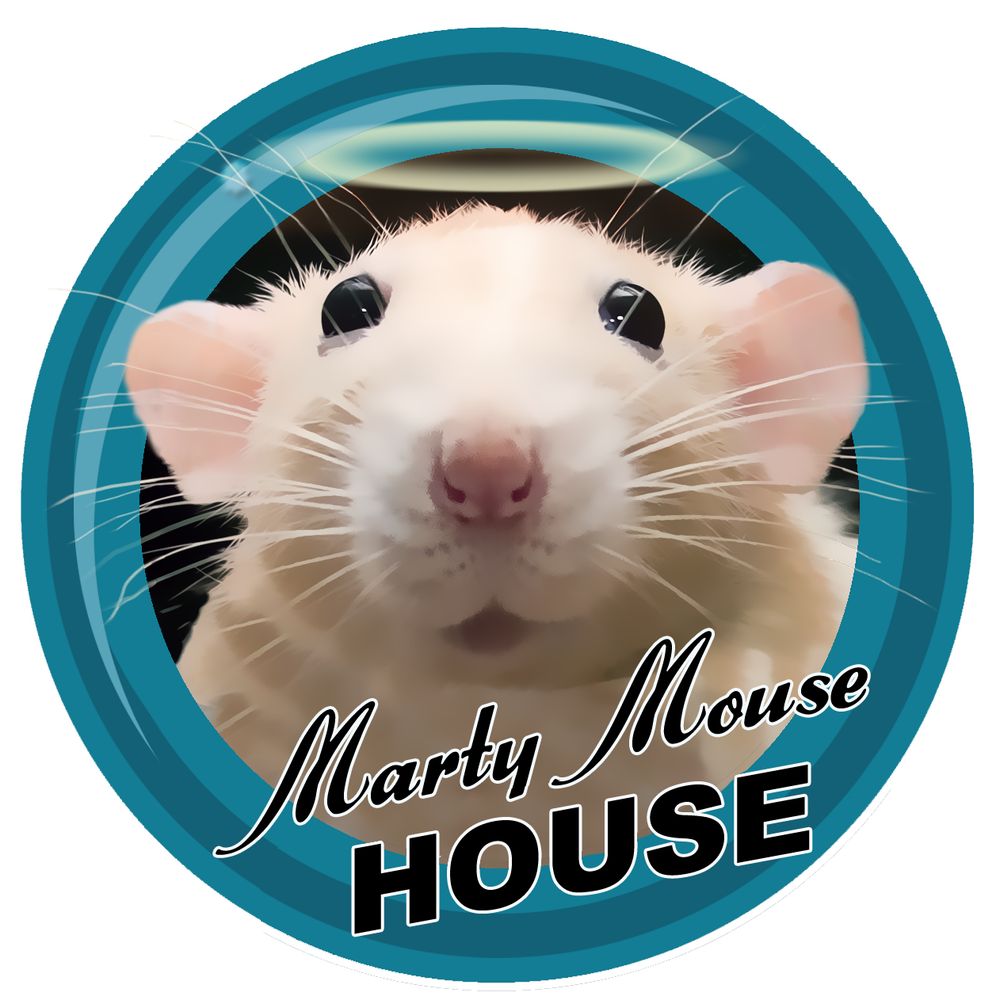 Marty Mouse House 