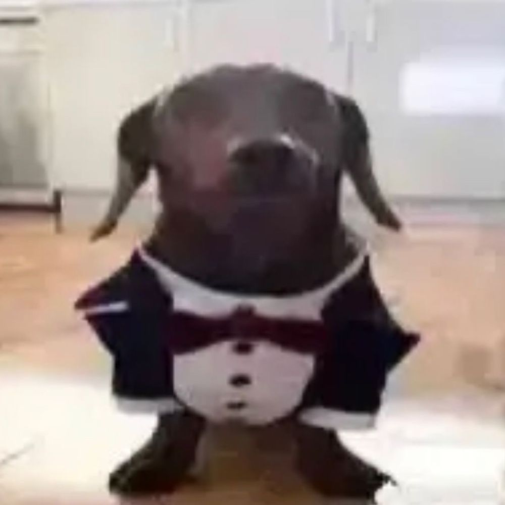 subpremo.png