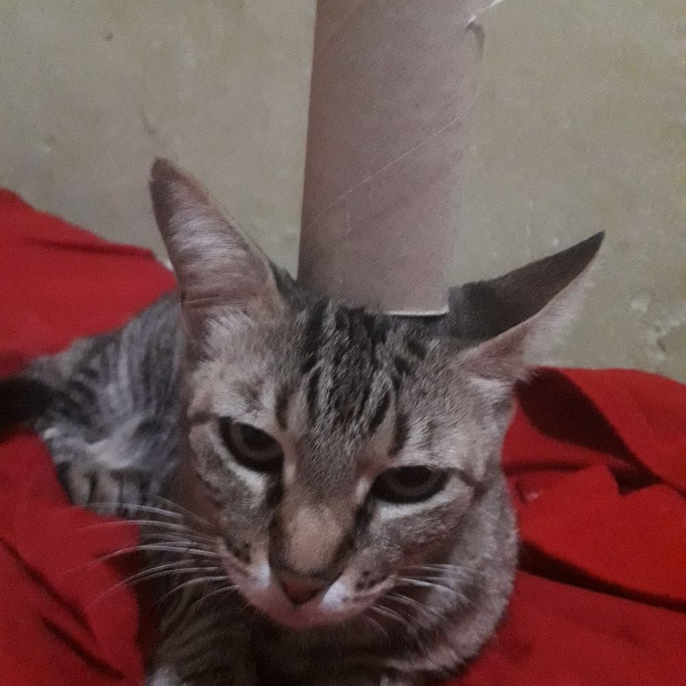 Welida Hemanuelly