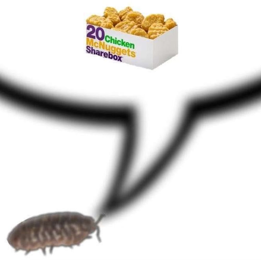 Mal 