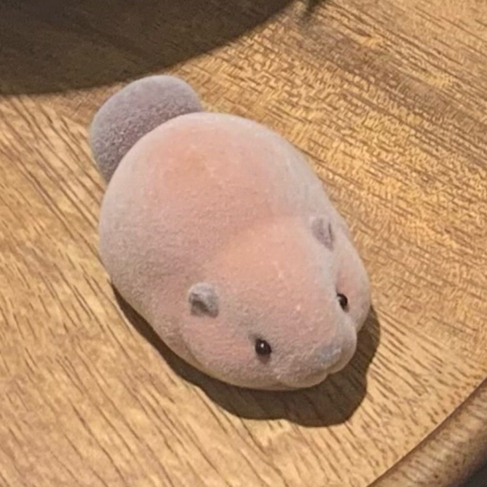 けうけげん