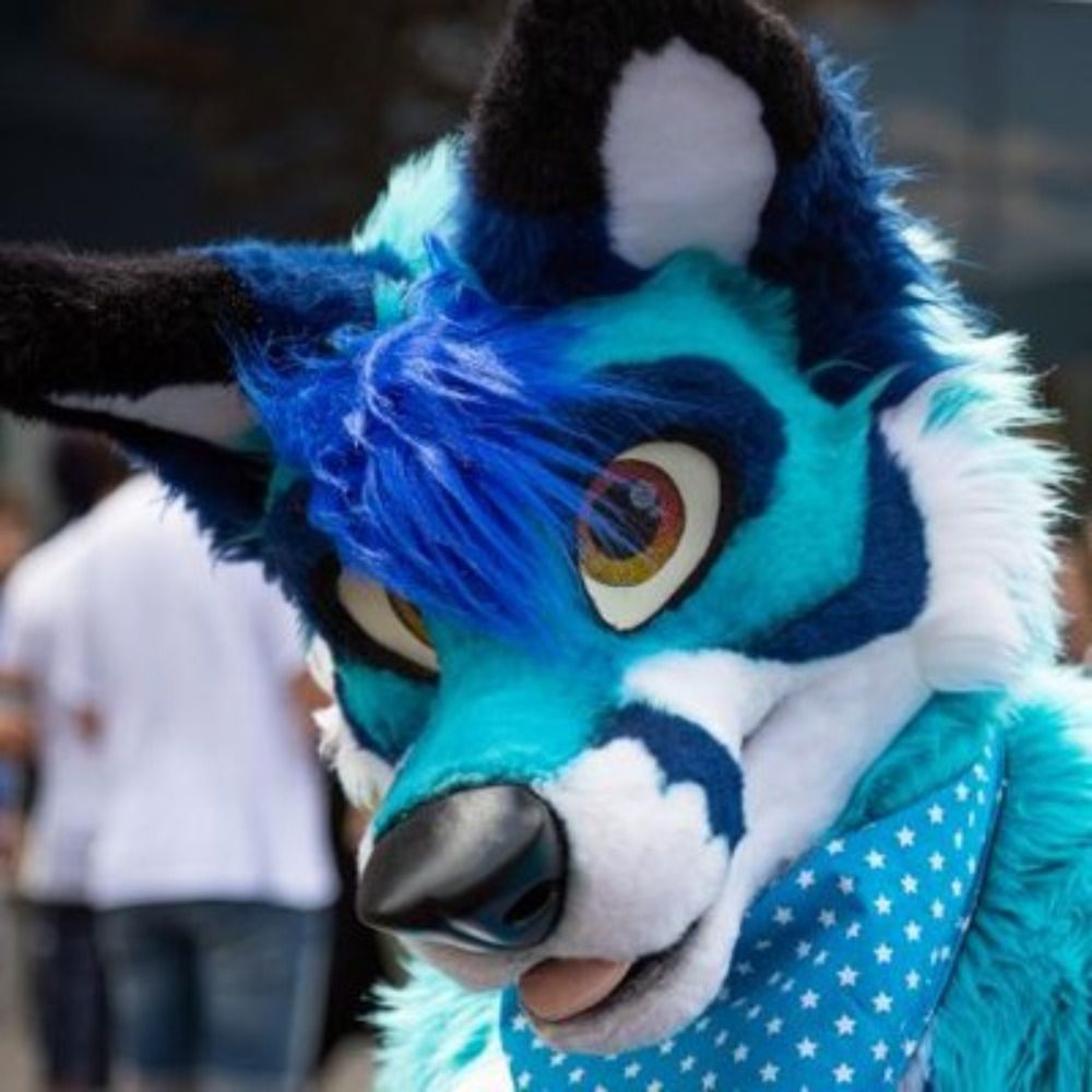 Kacec The Fox 🇩🇪 @EF @TFI @EAST