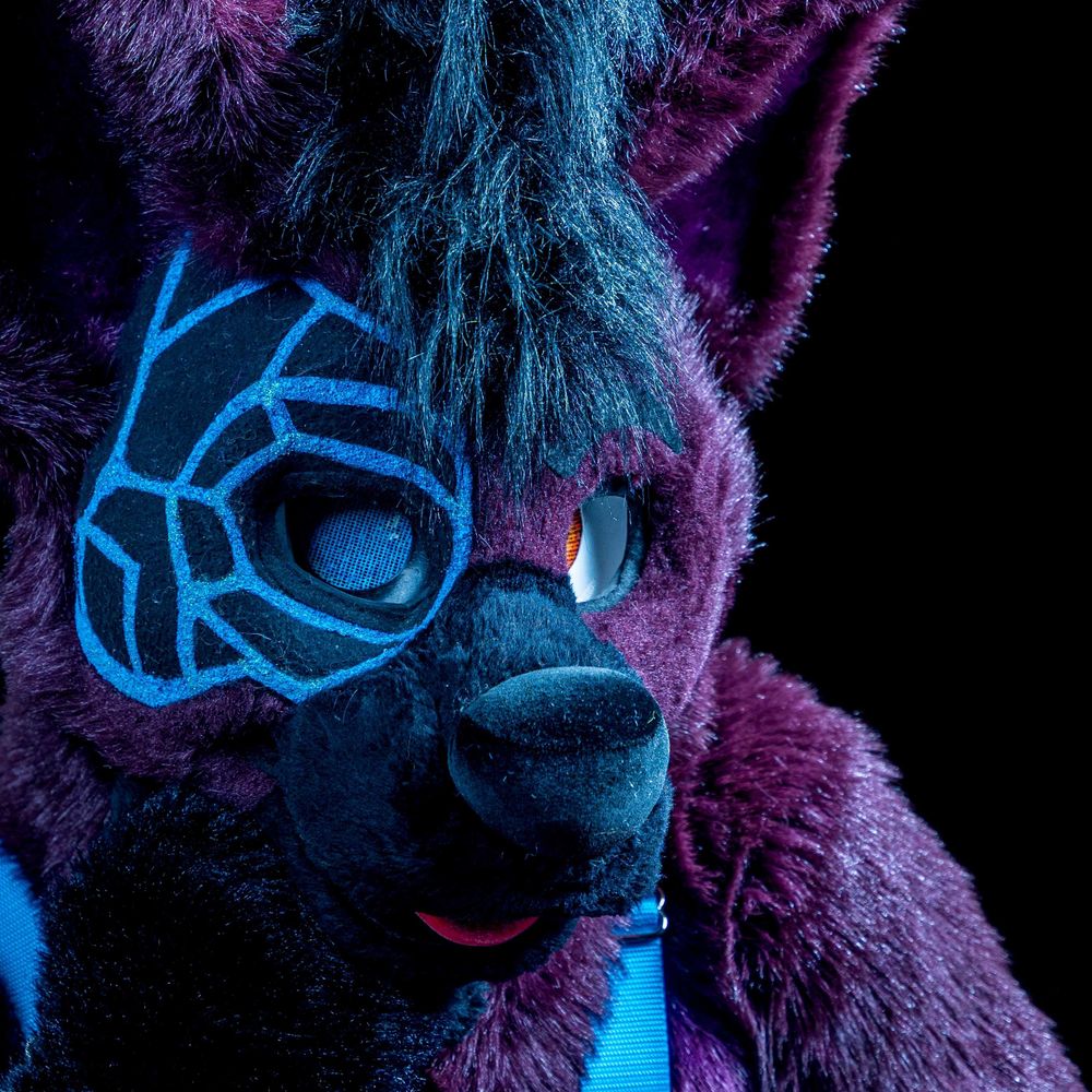 👑Apex Jackal👑