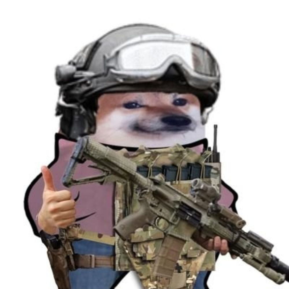 Rogue Doge 