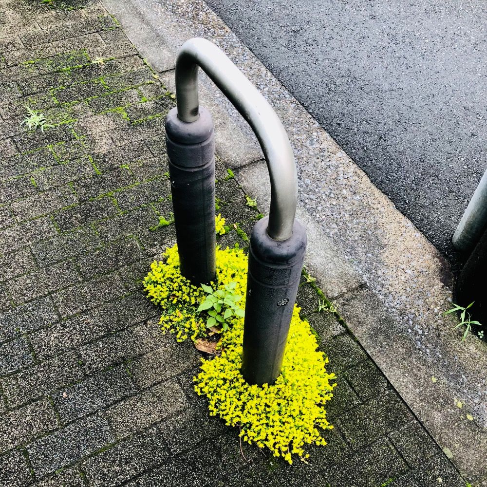 まる