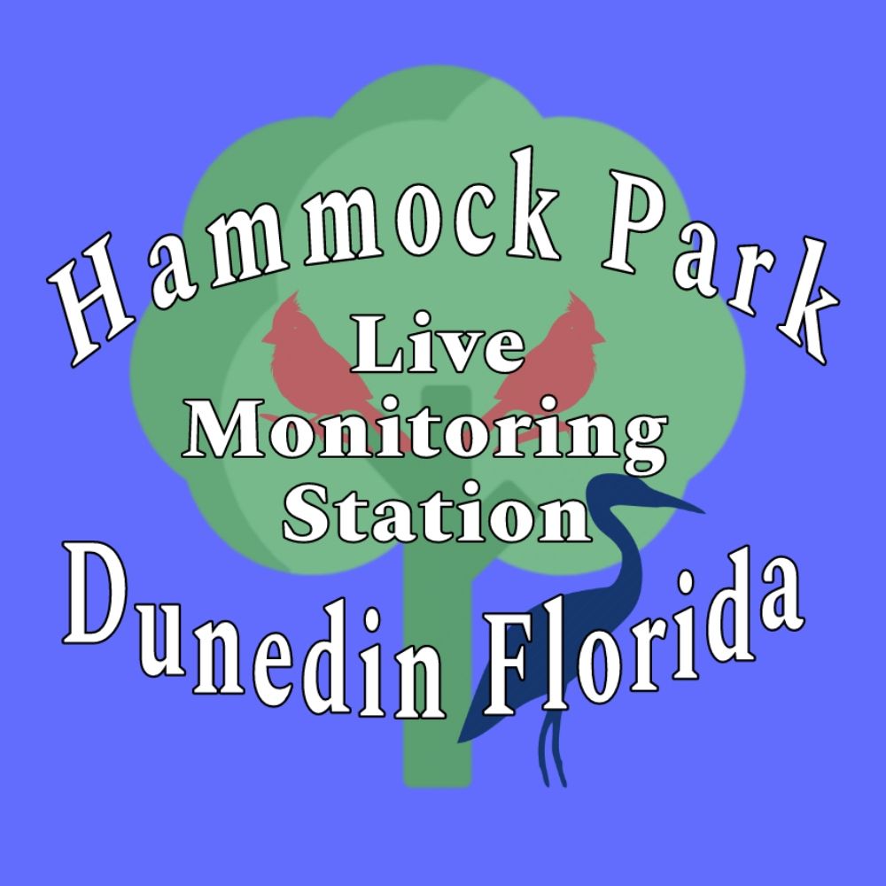 Hammock Park Dunedin Monitoring Station