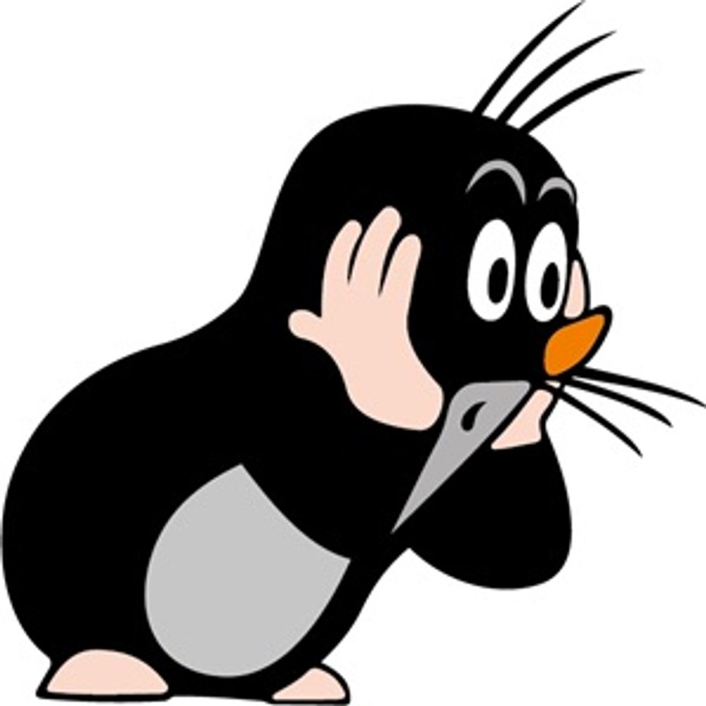 Kurwa bober