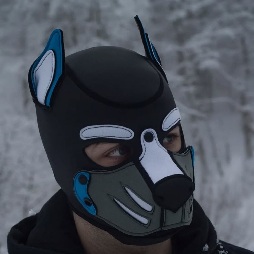 Pup iridium