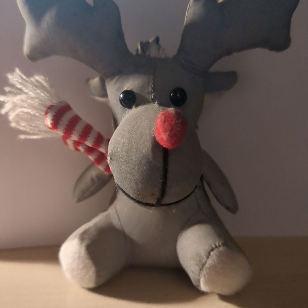 Majestic Moose