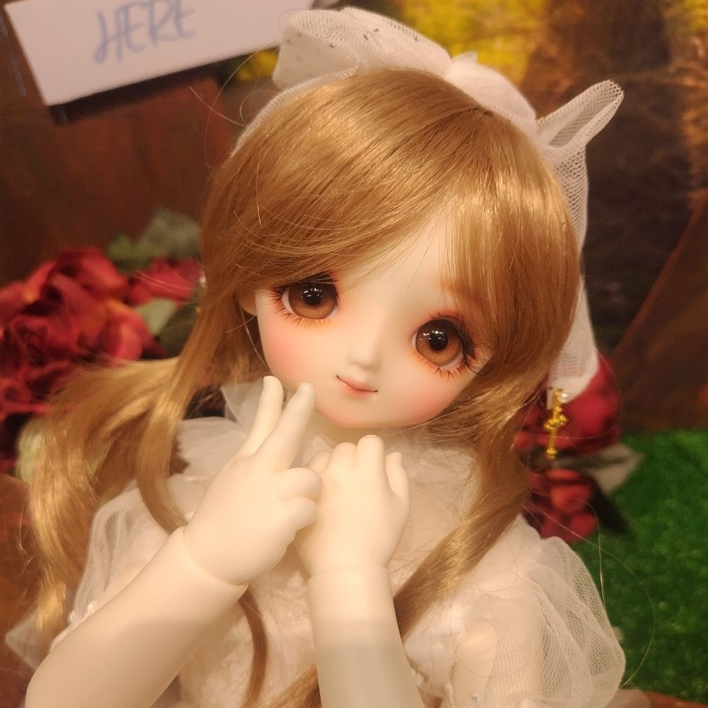 蛻 monuke