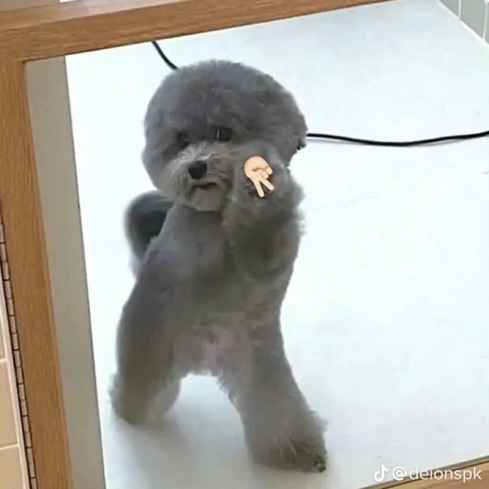 no 💗