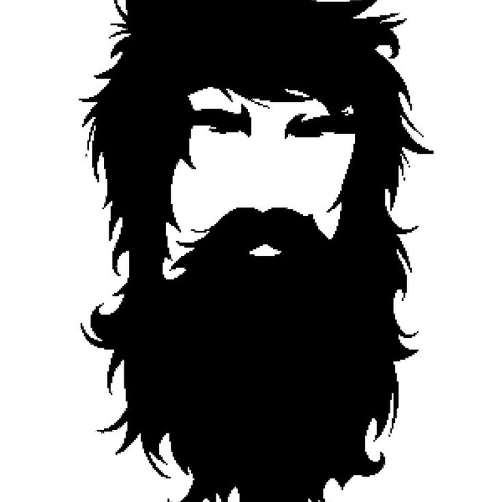 justabeardeddude.bsky.social profile picture