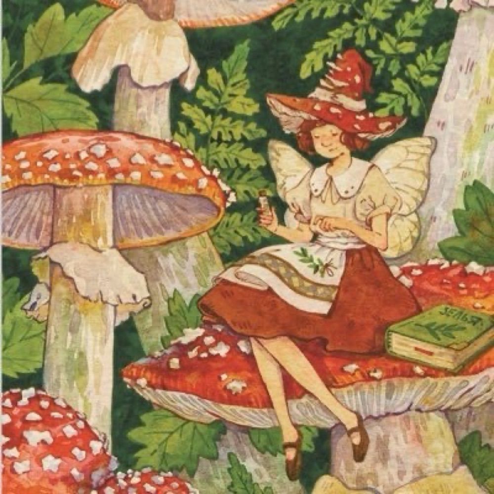 amanda 🍄 