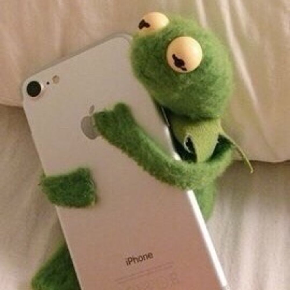 헌잭짹