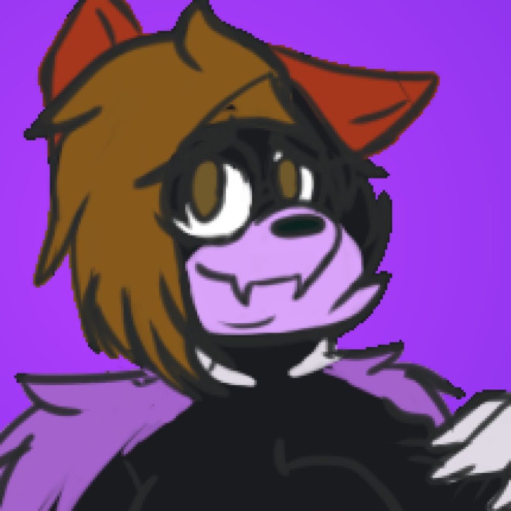 Zanvis