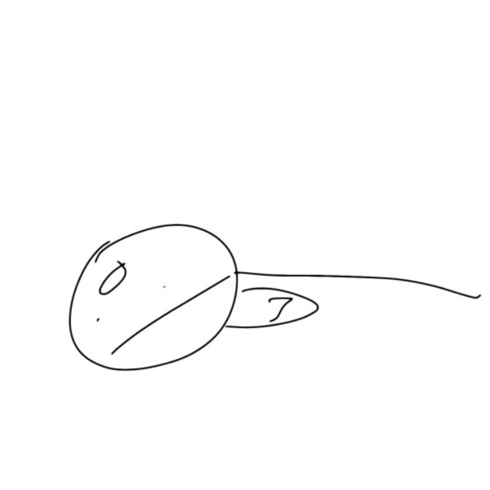 ワヲン