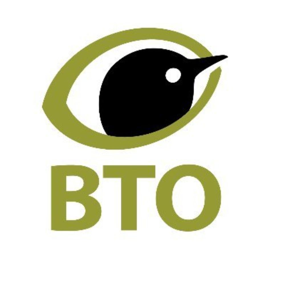 BTObirds's avatar