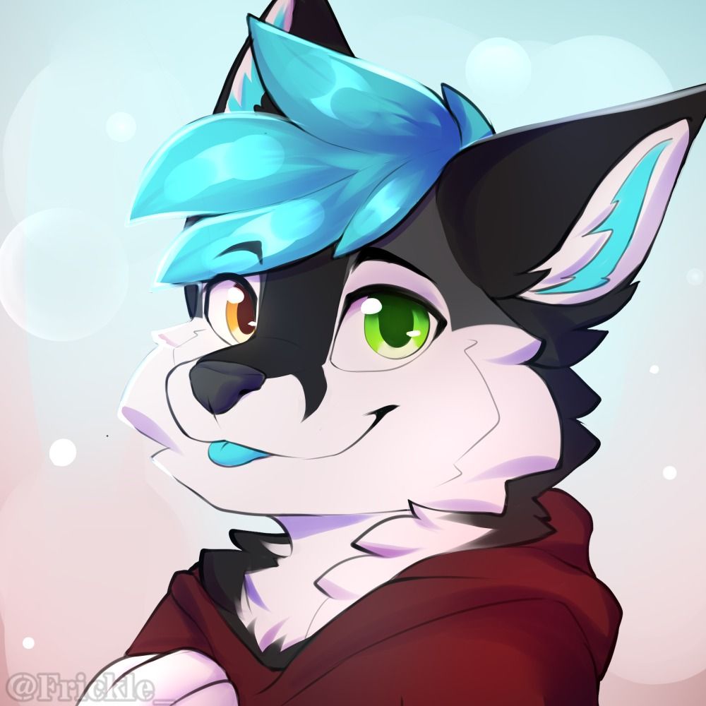 Echo Angelpaw