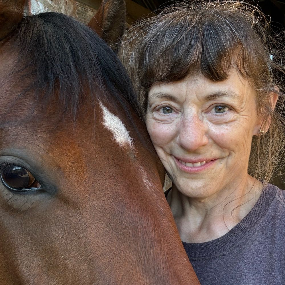 Erika Rado & Peaceful Horse LLC