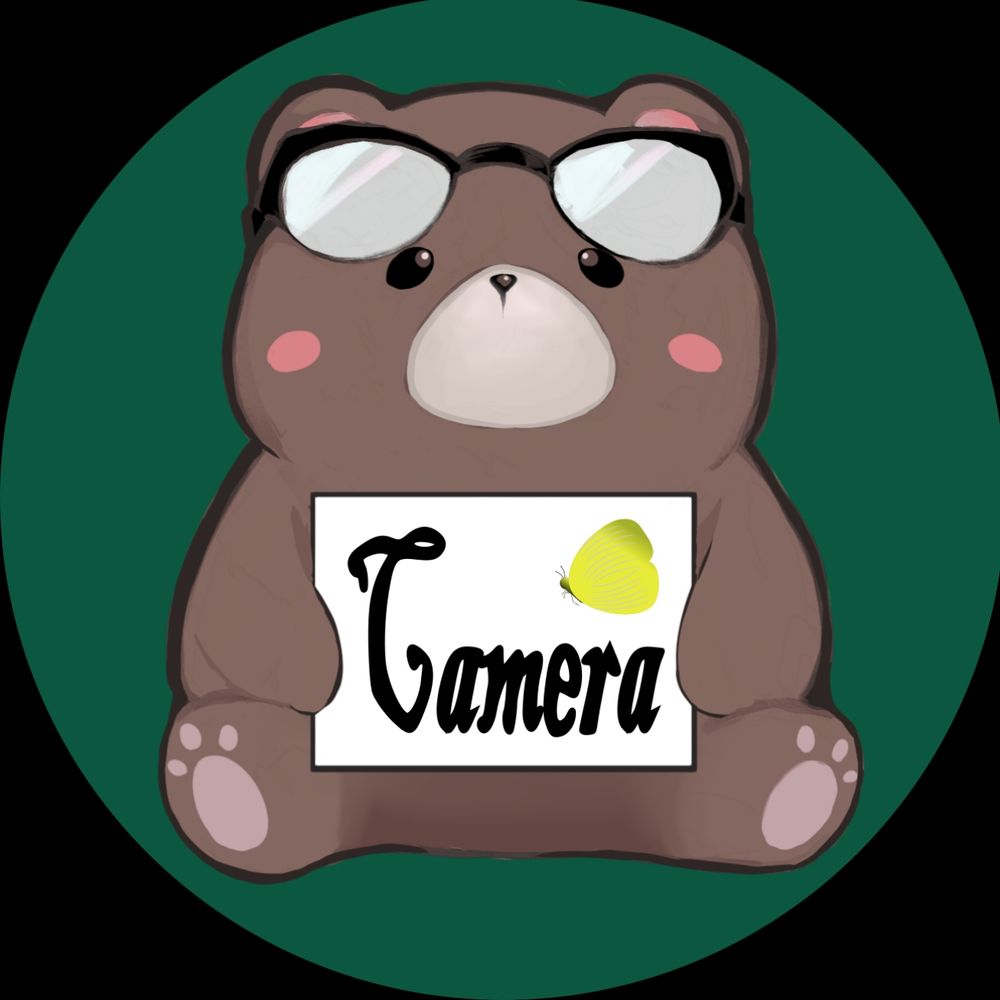 BearCamera