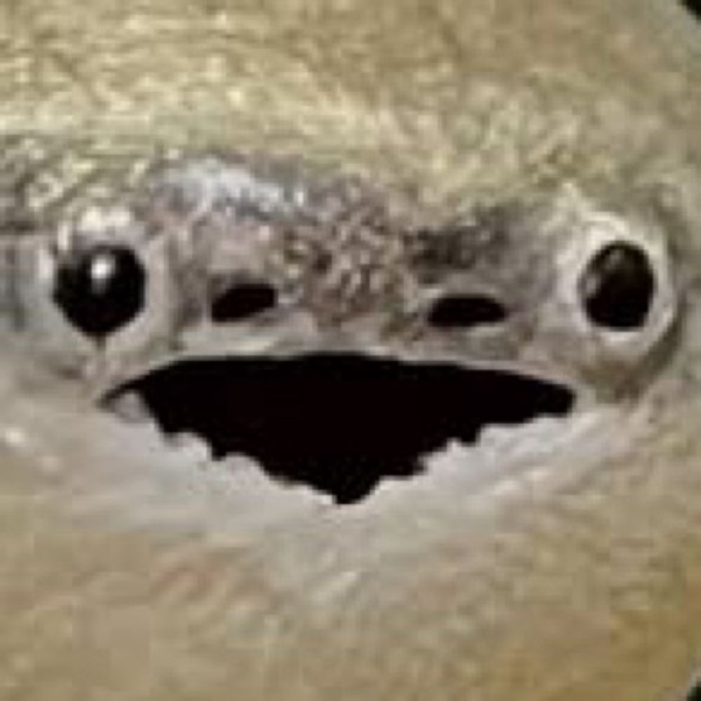 マニ吉